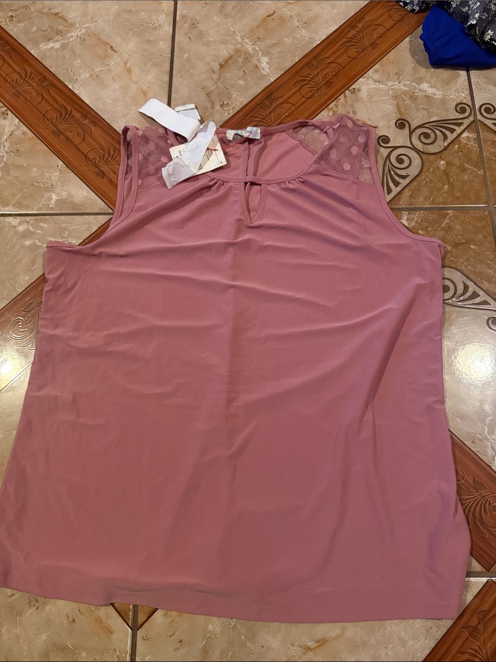 Mauve Sleeveless Blouse with Lace Yoke